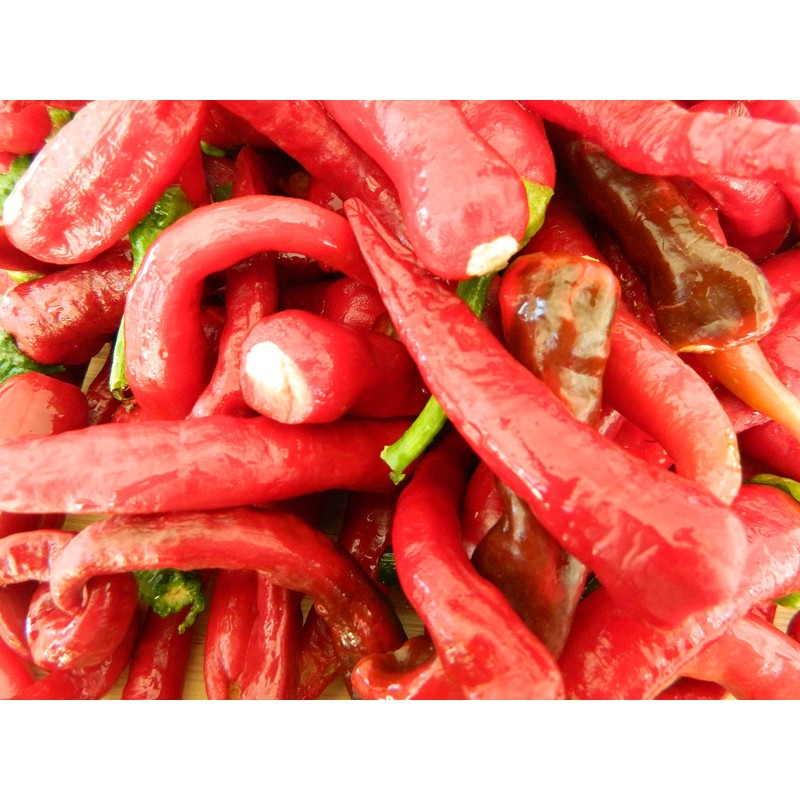 Kashmiri Mirch Chilli Seeds - 10 Fresh Seeds - Great