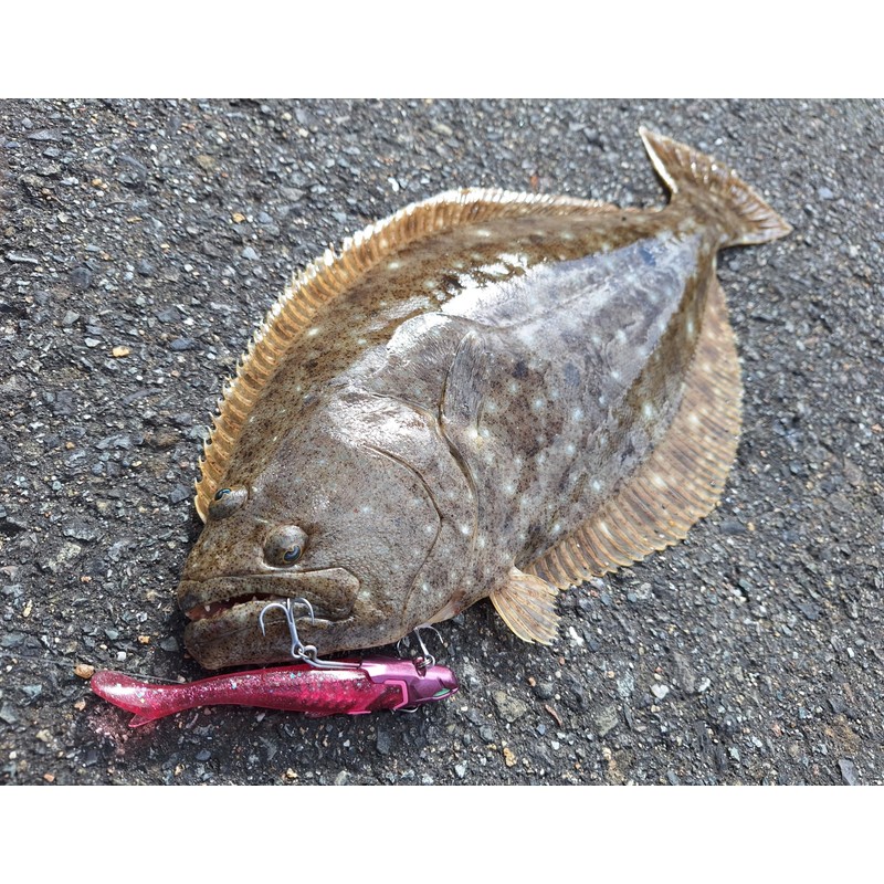 Flowful Works Noid, 0.8 oz (21 g) (N003 Pink)