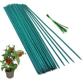 GAGINANG 50 Pcs Plant Sticks Green Stakes, Support Garden 18 inches,