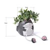 HAUCOZE Animal Planter Succulent Pots Flower Gifts Cat Sculpture Decor