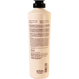 NATURAL BEAUTY CARE - Botanic Shampoo para Cabello 300 ml, Shampoo Fortalecedor de Hebra Capilar, Previene Caída de Cabello, Exfoliante del Cuero Cabelludo, Crecimiento Cabello, con Quinoa y Arroz