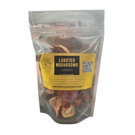 Great Lakes Treats Dried Lobster Mushrooms, 1 oz Bag