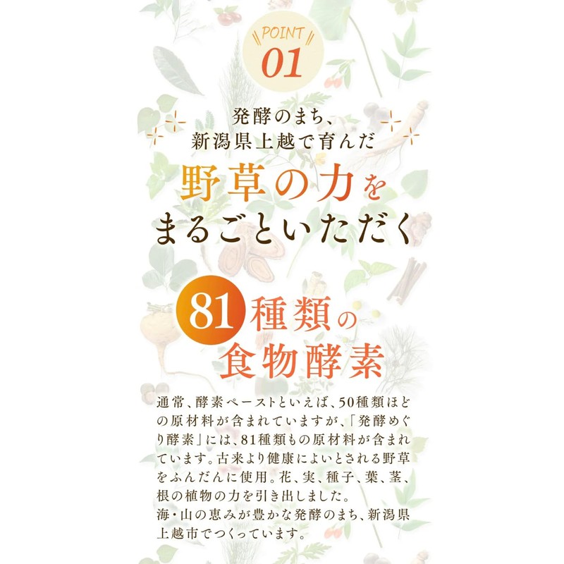 おひさましょうが 発酵めぐり酵素 ペーストタイプ 1ヶ月分 31包入