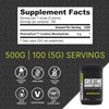 NutraBio NutraBio Creatine Monohydrate, Unflavored, 500g and Whey Protein Isolate,