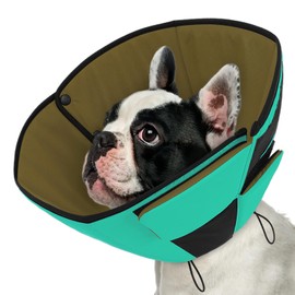 Queenmore Dog Cone Collar, Cone for Dogs to Stop Licking, Dog Cones for Medium Dogs, Adjustable Doggy Recovery Collars & Cones, Elizabethan Collar for Pets After Surgery, Green M