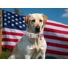 ARING PET 4th of July Dog Collar-Cute Patriotic Dog Collars,