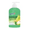 Germ-X Crisp Pear & Summer Melon Antibacterial Liquid Hand Soap,
