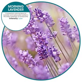 Fresh Products ourfreshe Plug In Air Freshener Refills, Dry Fragrance, 30-Day Use, Medium Sized Spaces — Morning Lavender 6 Pack
