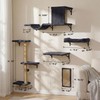 MEWANG 5-in-1 Cat Wall Shelves: Cat Climbing Furniture with Wall