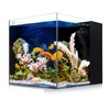 Coralland 8-Gallon Saltwater Aquarium - Ultra Clear Low Iron Glass,