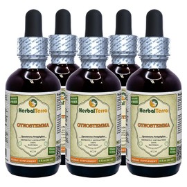 Gynostemma (Gynostemma Pentaphyllum) Tincture, Organic Dried Leaves Liquid Extract (Brand Name: HerbalTerra, Proudly Made in USA) 5x2 fl.oz (5x60 ml)