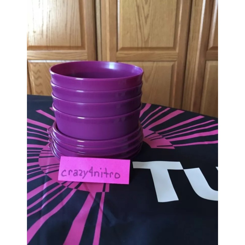 TUPPERWARE LITTLE WONDERS SET OF 4 RHUBARB/PURPLE NEW BPA FREE