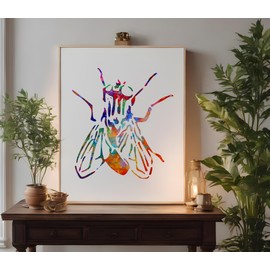 Fly Diptera Bug Insect Stencil Template Reusable for Painting on Walls, Wood, Arts and Crafts (546) - 8.5 x 11 Inches