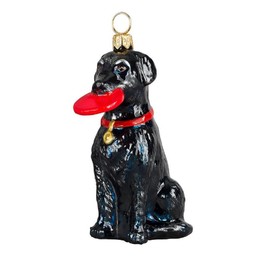 Black Labrador Retriever with Flying Disk Polish Blown Glass Christmas Ornament