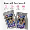 Renewa Creatine Gummies 1000mg Lemon Flavour Trial Pack 10