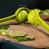 bremermann Citrus Juicer Set of 3 for Oranges, Lemons and