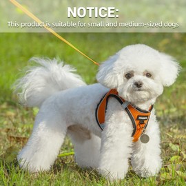 Dog Harness and Leash Set, Dog Harness for Dogs No Pull, No-Chock Step-in Reflective Breathable Lightweight Easy Walk Vest Harnesses with Safety Buckle for Small Medium Dogs, Cats (Orange, M)