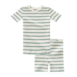 AVAUMA Baby Boys Girls Pajama Set 6M-10Y Kids Cute Toddler Snug fit Pjs Cotton Stripe Short Sleeve Sleepwear (Iv/Mint 3T)