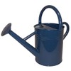 1 Gallon Watering Can Blue
