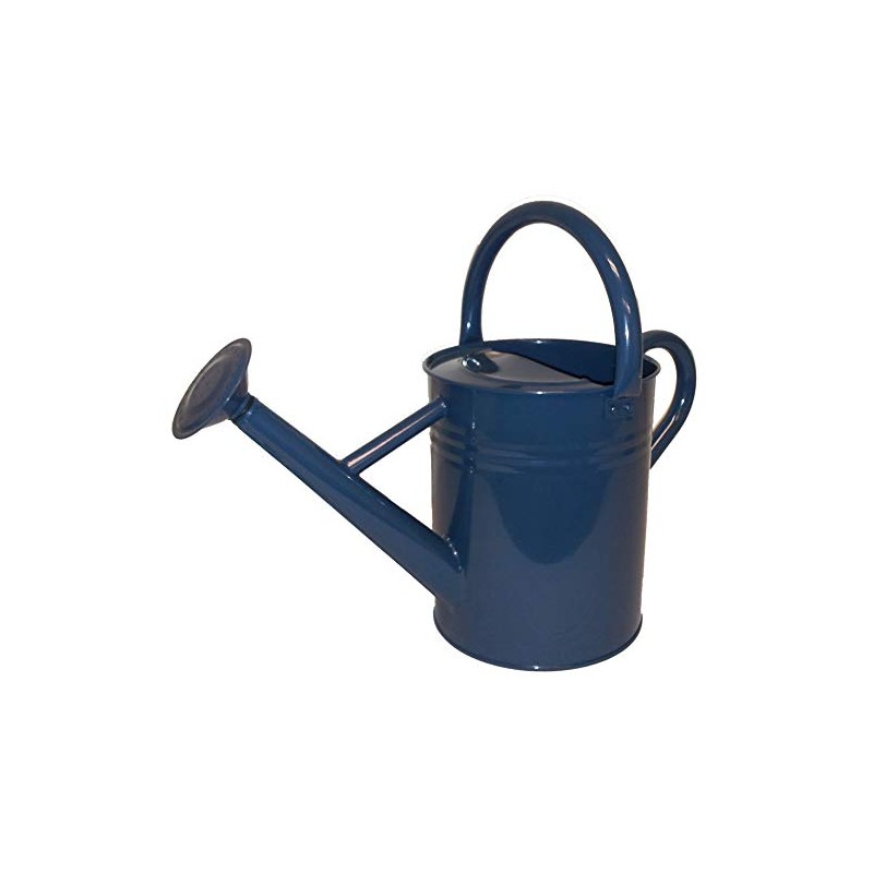 1 Gallon Watering Can Blue