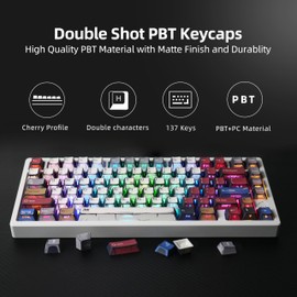 FunHub Retro Shine Through PBT Keycaps,Colorful Japanese Manga Key Caps, Anime Themed Double Shot PBT Side Printed Keycaps Set 137 Keys for 60 65 75 100 Percent Cherry Gateron MX Switches Keyboard