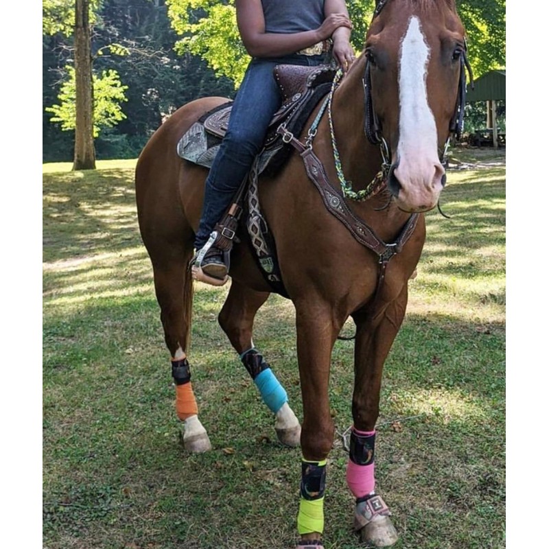 cinch strap set latigo rattlesnake