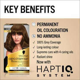 Schwarzkopf Oleo Intense Permanent Oil Colour 4-60 Gold Brown Hair Dye, 100% Grey Coverage, Conditioner with HaptIQ System, Long-Lasting Colour, Ammonia Free Hair Dye