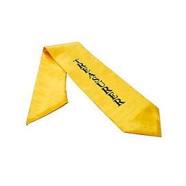 Tassel Depot Women's Graduation Stole One Size Gold Treasurer