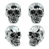 Bashineng Skull License Plate Bolts Fasteners License Plate Screw Decoration