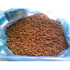 450g / 1 pound Bees Bread (Perga, Bienenbrot, Ambrosia)