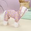 Cute Cartoon Waterproof Dog Raincoats for Small Dogs with Clear