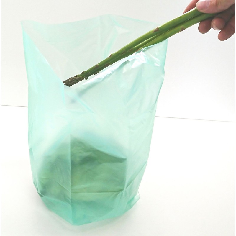 Watanabe Industry 603254 Freshness Retention Bags, Pack of 10 x