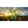 Aminoácidos De Uso Agrícola 1kg Polvo Soluble Rinde Para 3ha