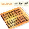 Natural Lash Clusters Wispy Eyelash Clusters Eyelashes Extensions Cat Eye