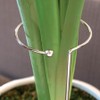 Jackson & Perkins Adjustable Amaryllis Stake – Silver Metal Plant
