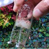 HIERYAN Planaria Trap Catch, Clear Trap Catcher for Cherry Shrimp