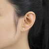 14K Yellow Gold Apple Screwback Stud Earrings