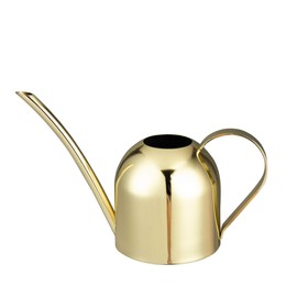 IMEEA Gold Watering Can for Indoor Plants, Orchid, Bonsai - Stainless Steel With Long Spout for House, Desk, Office - 15oz/450ml