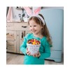 Easter Jelly Beans Candy for Basket Stuffers - (2 -