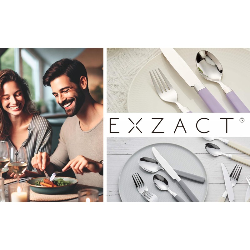 Exzact WF23 Cutlery Set Stainless Steel with Coloured Handles (Lavender,