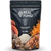 Hongos Power Mix 7x en Polvo 100g Melena de Leon,