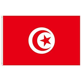 National Flags 5ft x 3ft with Grommets for Football Match Event in 2022, 32 Teams Flags Double Stitched Hem Polyester Flag for Indoor Outdoor Use (Tunisia)