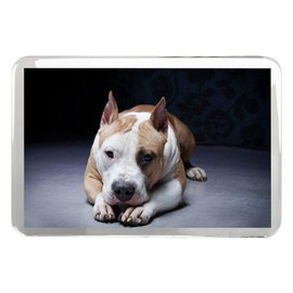 American Pit Bull Terrier Classic Fridge Magnet - Staffie Dog Puppy Gift #15599