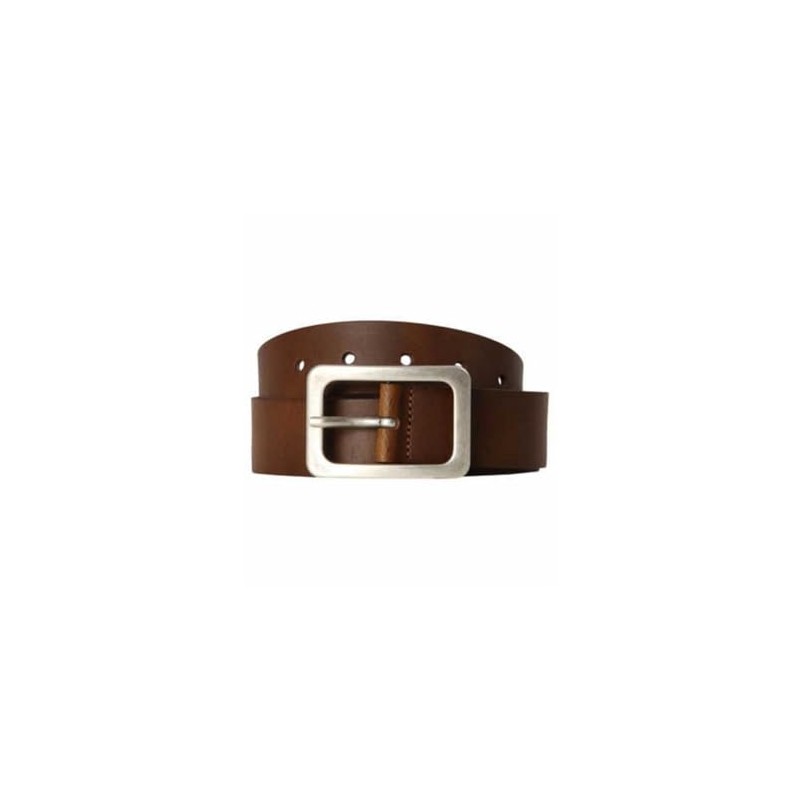 Vanzetti Women's Belt, Baileys