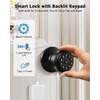 WREO Keypad Smart Door Knob Lock, Keyless Entry Door Lock