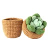 Finnacy Crochet Kit for Beginners Adults,Potted Succulent Plant Crochet Storage