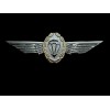 GERMAN MILITARY MASTER JUMP WINGS BADGE 3 3/4" DOUBLE POST
