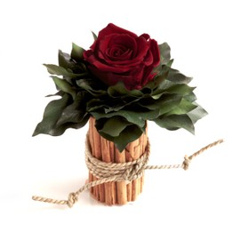 ROSEMARIE SCHULZ Heidelberg Flower Arrangement with Cinnamon Cup and 1 Rose Preserved Durable 3 Year Rose Arrangement/Flower Arrangement/Country House/Christmas/Table (Dark Red)