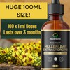 Mullein Leaf Extract Drops - Huge 100ml Bottle = 100