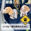 MKE Signs Design Catching Attention Dog Inker Waterproof Car Sticker